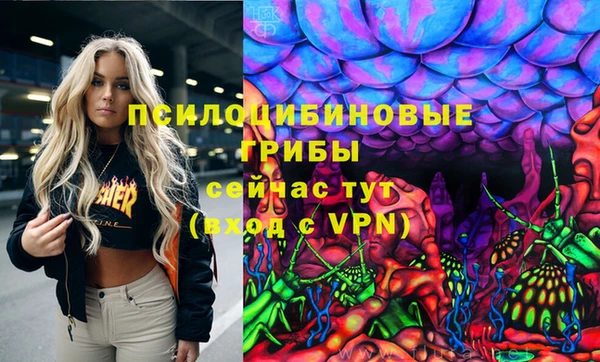 ешки Зерноград