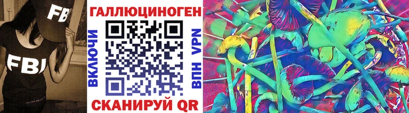 Псилоцибиновые грибы Psilocybine cubensis  кракен tor  Новоалександровск 