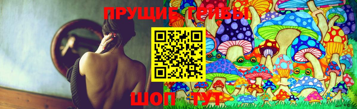 Псилоцибиновые грибы Magic Shrooms  Псилоцибиновые грибы Magic Shrooms  Новоалександровск  Вход с VPN 